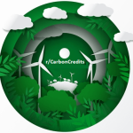 Are Carbon Offset Projects Continuously Monitored by Satellite? Are There Insurance Products to Protect These Areas?