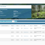 Can Individuals Own Carbon Credits on a Registry or Sub-Registry Account?