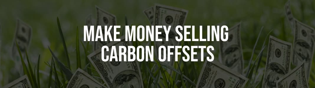 How Can I Make Money With Carbon Credits?