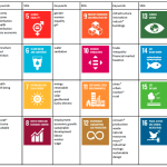 Research for Master Thesis: How Hard Is It to Qualify Project for Additional SDG Impact?
