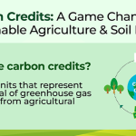 What Are the Main Problems With Regenerative Agriculture Credits?