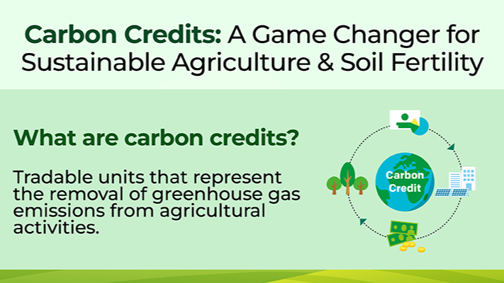What Are the Main Problems With Regenerative Agriculture Credits?
