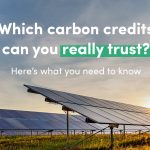 Which Carbon Credits Should I Trust - as I Am Looking to Invest in a Long-Term Genuine Project
