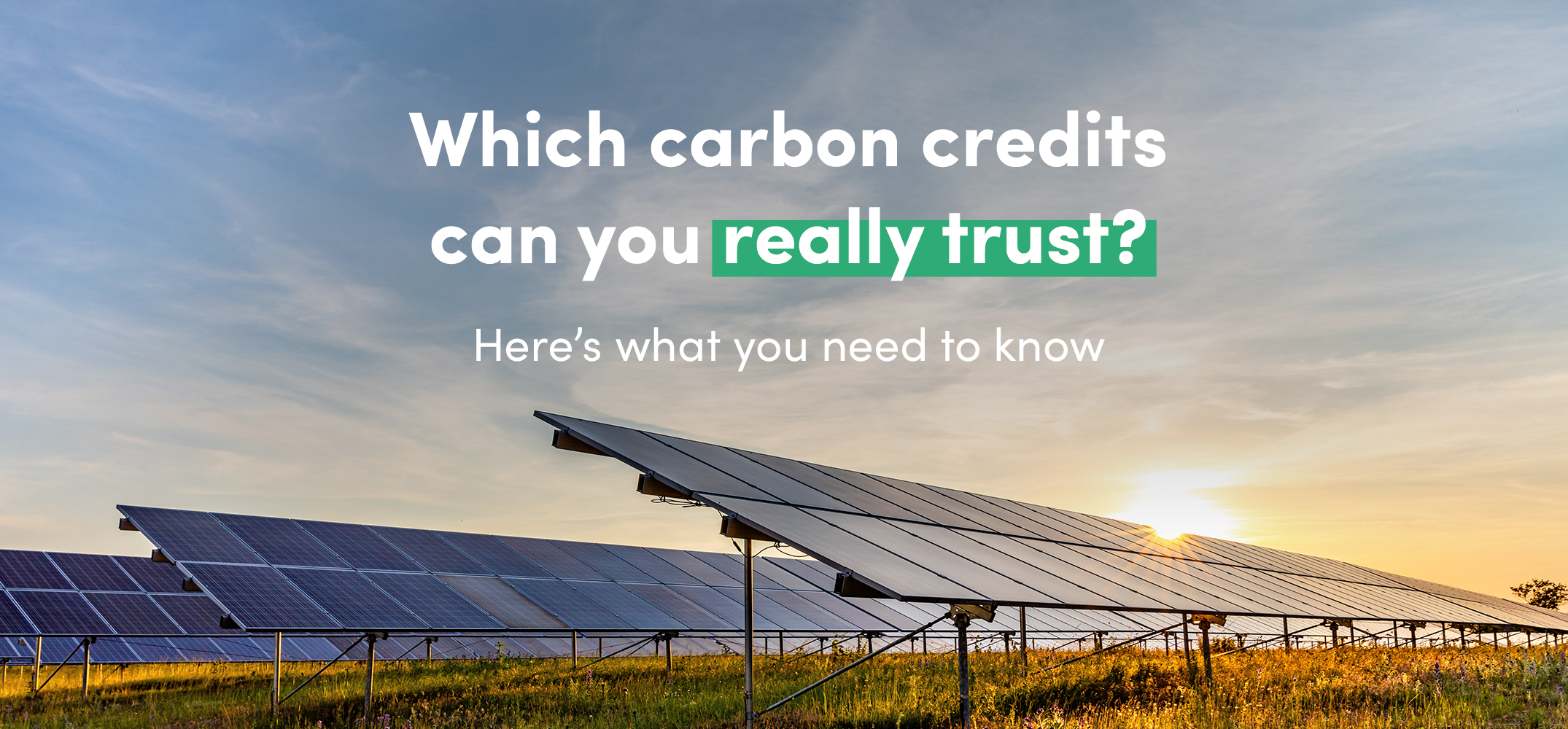 Which Carbon Credits Should I Trust - as I Am Looking to Invest in a Long-Term Genuine Project